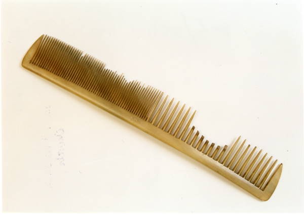 Emily Bronte's death comb