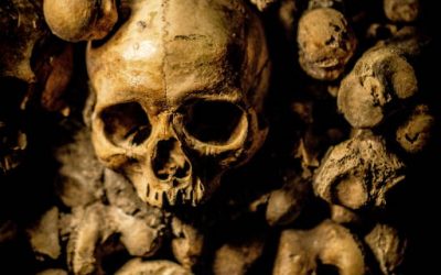 S1 E9 – Decomposition – Chapters 27 to 29